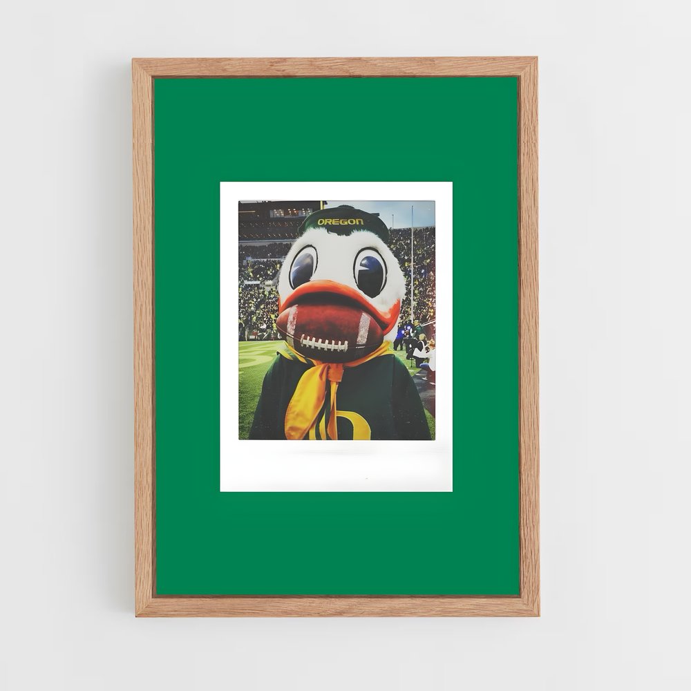 Poster Duck à la Mode – affiche Basketball (vue 4)